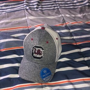 South Carolina gamecock onesize hat.